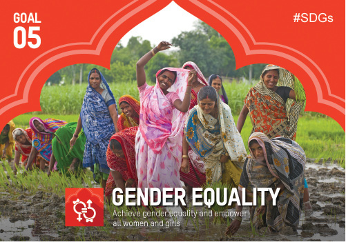 gender equality and sustainable development essay